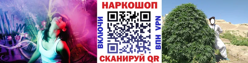 Что такое Дагестанские Огни ГАШИШ  КОКАИН  Меф мяу мяу  кракен зеркало  Канабис  Галлюциногенные грибы 