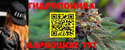 2c-b Пугачёв