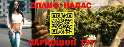 шишки Пушкино