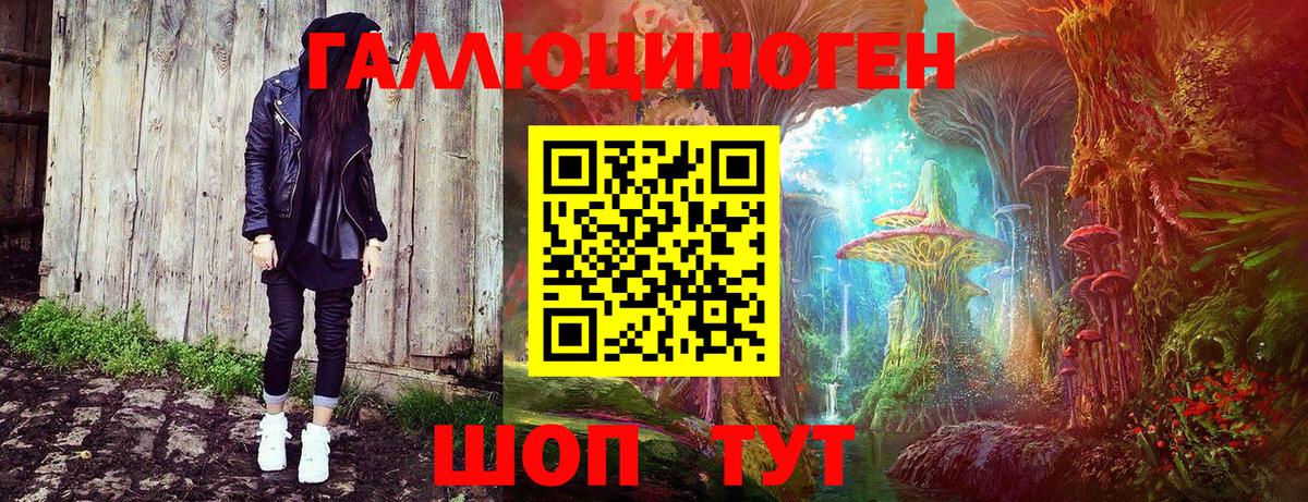 Псилоцибиновые грибы MAGIC MUSHROOMS  как найти   Галлюциногенные грибы Magic Shrooms  Дагестанские Огни  Вход с VPN 
