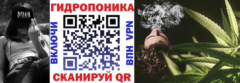 где купить   Дагестанские Огни  Бошки Шишки планчик 